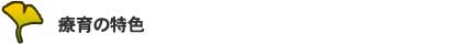 御茶ノ水発達センター 療育の特色